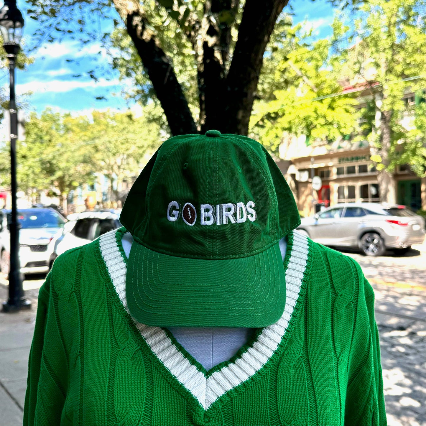 Go Birds Embroidered Hat